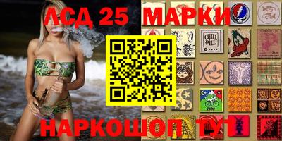гидропоника Будённовск
