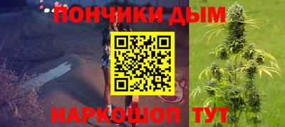 гидропоника Будённовск