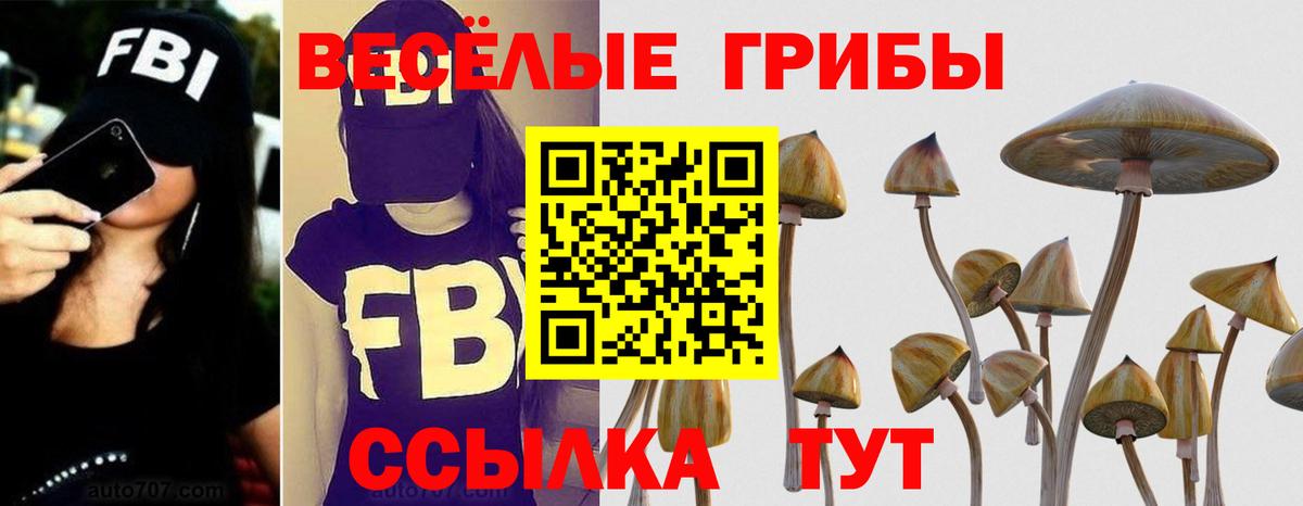 Кохма  Псилоцибиновые грибы GOLDEN TEACHER  Галлюциногенные грибы мицелий  Вход с VPN 